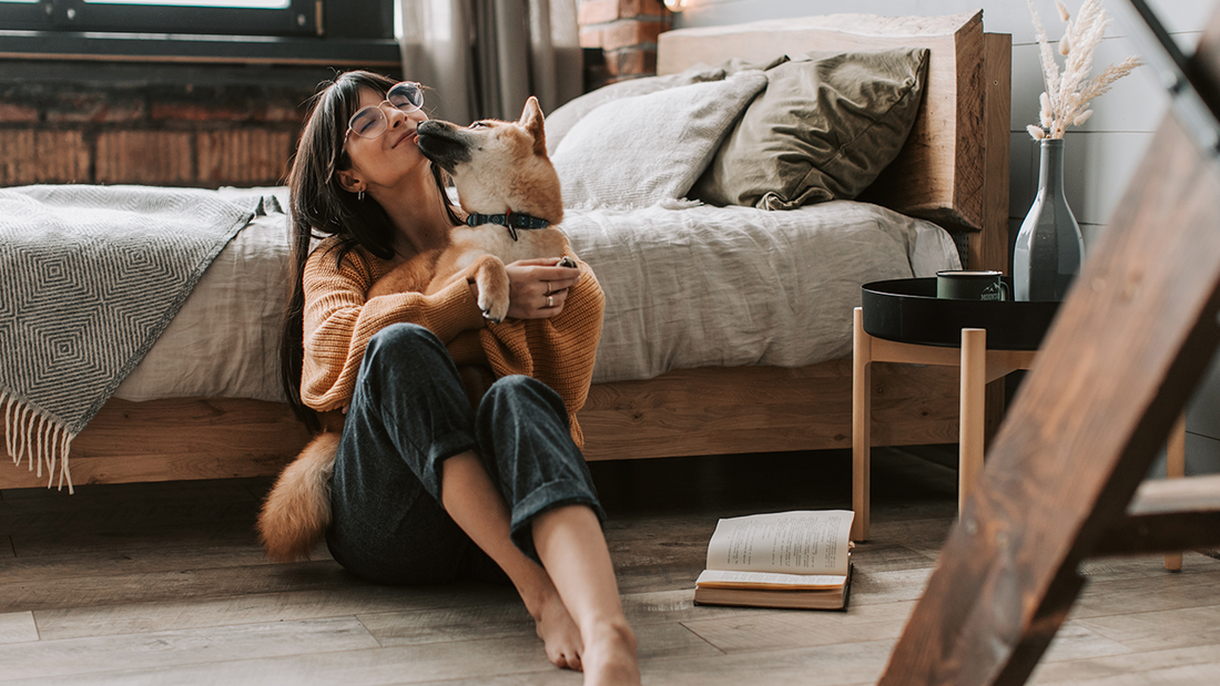 Top 3 de beneficios de tener los accesorios de tu mascota organizados